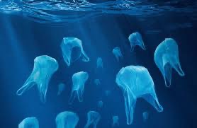 photo de sac plastique dans l'océan