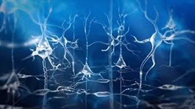 Image de connexion neurones dans le cerveau